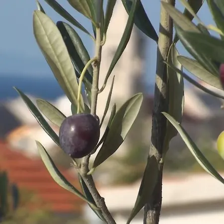 Lara דירה *